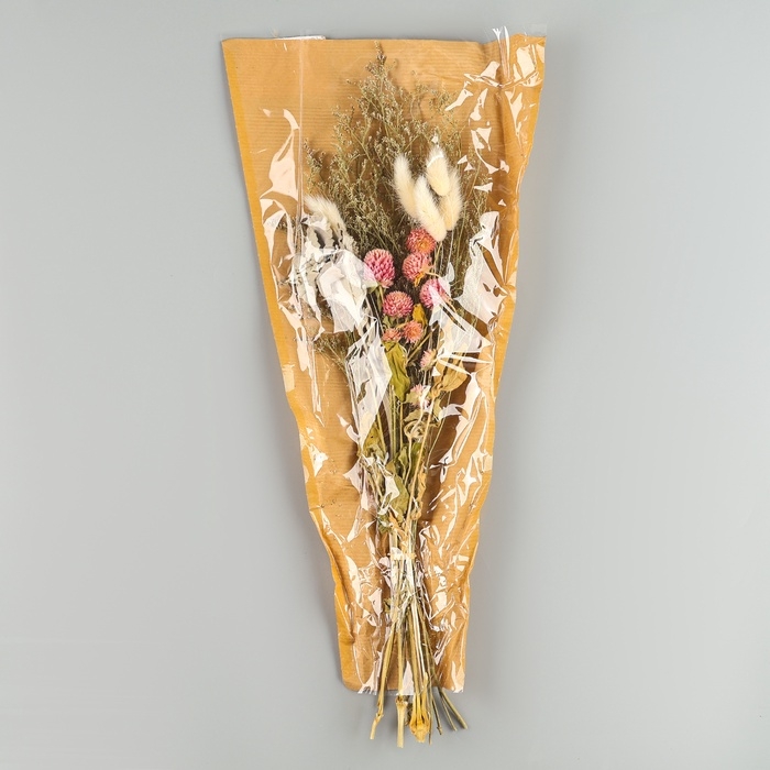 Набор сухоцветов 4 вида «Превосходство» 47 × 21,5 × 9 см Набор сухоцветов 4 вида «Превосходство» 47 × 21,5 × 9 см