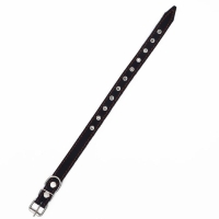 Ошейник кожаный однослойный, безразмерный, 56 х 2.5 см, ОШ 17-44 см, синий Ошейник кожаный однослойный, безразмерный, 56 х 2.5 см, ОШ 17-44 см, синий