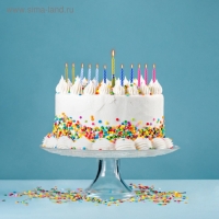 Свеча для торта (набор 12 свечей +1 музыкальная) Свеча для торта (набор 12 свечей +1 музыкальная)