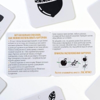 Чёрно-белые картинки для новорожденных &laquo;Мир вокруг нас&raquo;, 40 картинок, 0+