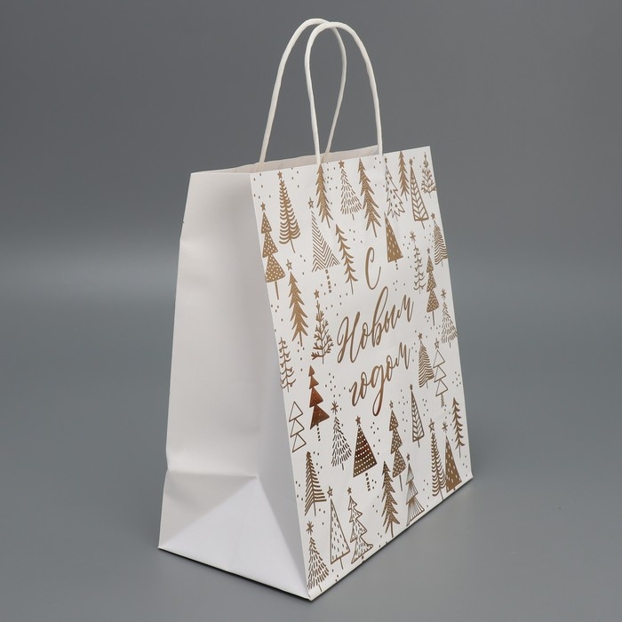 Пакет подарочный новогодний крафтовый &laquo;Новогодняя пора&raquo;, 22 х 25 х 12 см, Новый год