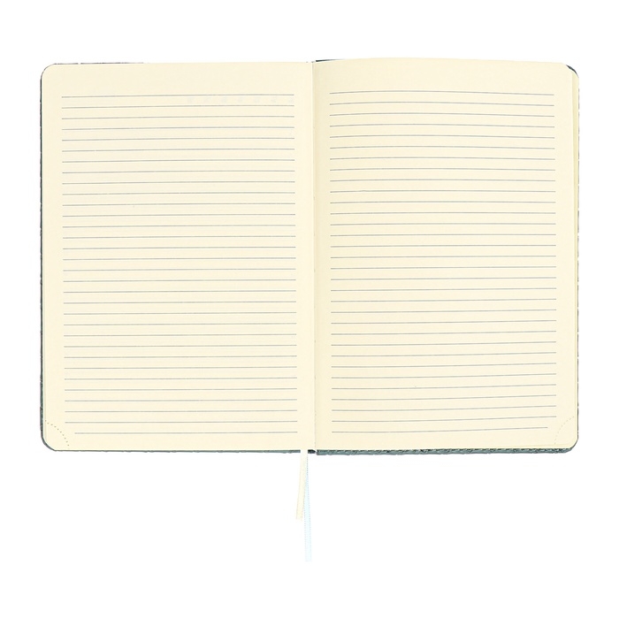 Ежедневник недатированный A5 136 листов кожзам deVENTE. Clair, твердая обложка с поролоном, перфорация, ляссе, блок 70, голубой