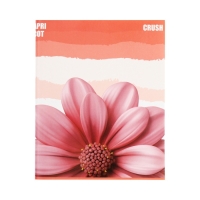 Тетрадь 96 листов в клетку Calligrata "Apricot Crush", обложка мелованный картон, глянцевая ламинация, блок офсет МИКС Тетрадь 96 листов в клетку Calligrata "Apricot Crush", обложка мелованный картон, глянцевая ламинация, блок офсет МИКС