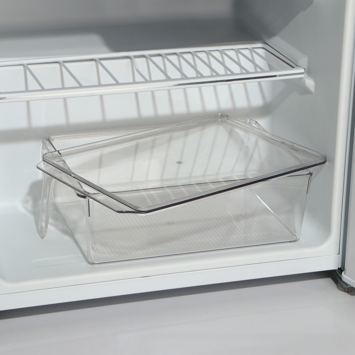 Контейнер для холодильника с крышкой и ручкой RICCO, 32&times;20,5&times;10 см