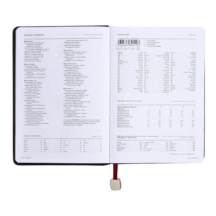 Ежедневник недатированный А5, 160 листов POLO NEW, твёрдая обложка, искусственная кожа, зелёный