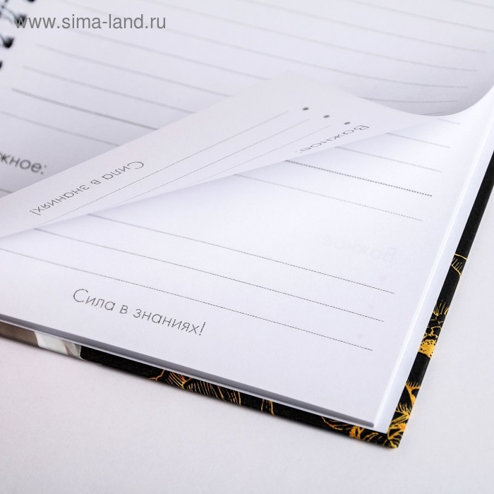 Ежедневник на гребне «Золотому учителю», формат А5, 60 листов, твердая обложка Ежедневник на гребне «Золотому учителю», формат А5, 60 листов, твердая обложка