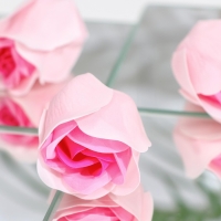 Мыльные розочки, трёхцветные,набор 6 шт. Мыльные розочки, трёхцветные,набор 6 шт.