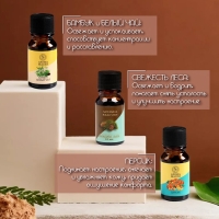 Аромамасло, набор (9 в 1), по 10 мл "Богатство Аромата" №2 Аромамасло, набор (9 в 1), по 10 мл "Богатство Аромата" №2