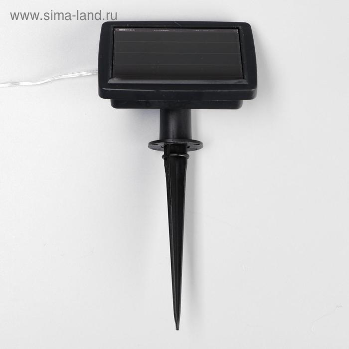 LED шнур &laquo;Эра&raquo; 5 м , прозрачная нить, свечение мульти, 1 режим, солнечная батарея