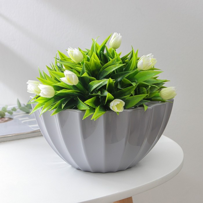 Кашпо для цветов с автополивом «Ракушка», 2,4 л, d=22см, h=10,5 см, цвет серый Кашпо для цветов с автополивом «Ракушка», 2,4 л, d=22см, h=10,5 см, цвет серый