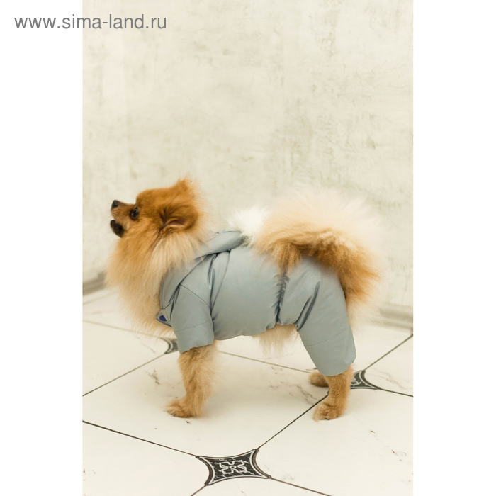 Комбинезон зимний для животных, флис, 2XL (ДС 34-36, ОШ 34-36, ОГ 44-48 см), серый