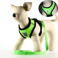 Комплект амуниции со светоотражающей нашивкой, S, ОШ 24 см, ОГ 28-33 см, зелёный Комплект амуниции со светоотражающей нашивкой, S, ОШ 24 см, ОГ 28-33 см, зелёный