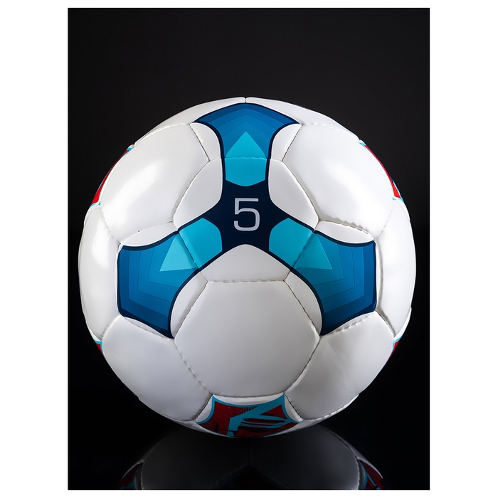 Футбольный мяч MINSA Training, ручная сшивка, 32 панели, р. 5, PU Футбольный мяч MINSA Training, ручная сшивка, 32 панели, р. 5, PU