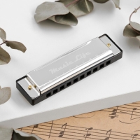 Губная гармошка Music Life, диатоническая, C-major, с футляром, серебристая Губная гармошка Music Life, диатоническая, C-major, с футляром, серебристая