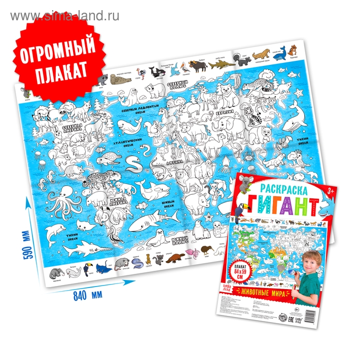 Обучающий плакат-раскраска «Животные мира», 59 × 84 см Обучающий плакат-раскраска «Животные мира», 59 × 84 см