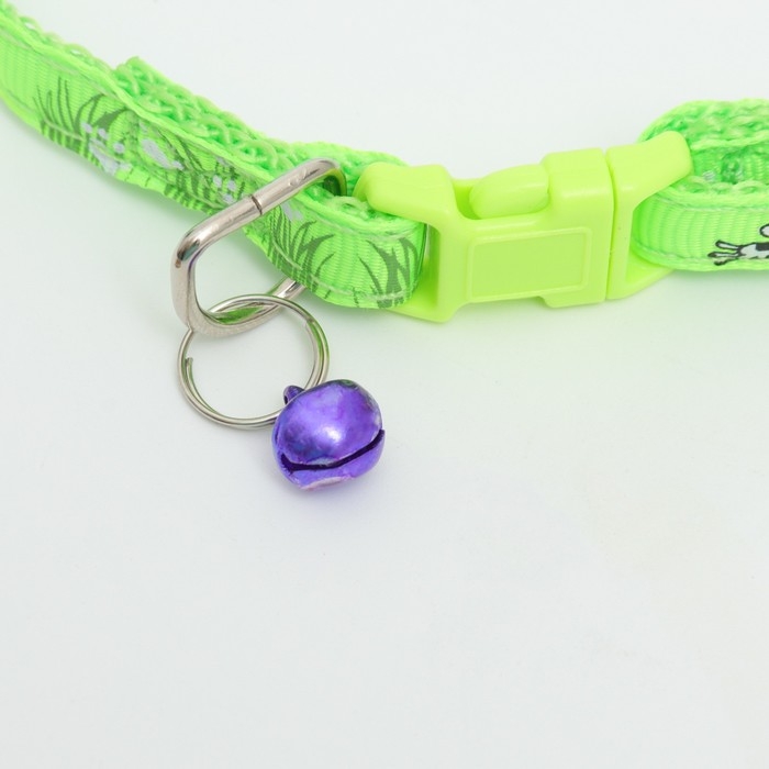 Ошейник "Лето" с бубенчиком, 30 х 1 см, капрон, салатовый
