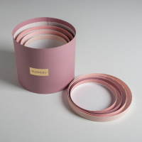 Набор шляпных коробок для цветов 4 в 1, упаковка подарочная, &laquo;Нежные тона&raquo;, 14 х 13 см - 20 х 17,5 см