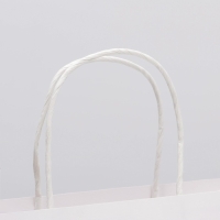 Пакет подарочный, упаковка, «Рыцарю», 22 х 22 х 11 см Пакет подарочный, упаковка, «Рыцарю», 22 х 22 х 11 см