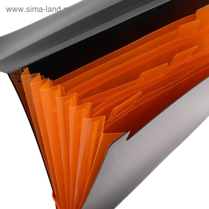 Папка-картотека, А4, 6 отделений, 700 мкм, ErichKrause Папка-картотека, А4, 6 отделений, 700 мкм, ErichKrause "Matt Accent", на резинке, тиснение "песок", черная, микс