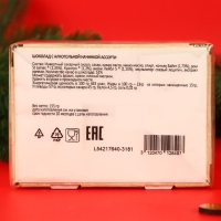 Новый год. Шоколад фигурный SELECTION LIQUEURS, с алкогольной начинкой, ассорти, 13 ± 1 г Новый год. Шоколад фигурный SELECTION LIQUEURS, с алкогольной начинкой, ассорти, 13 ± 1 г