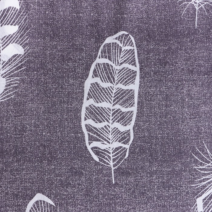 Постельное бельё Этель 2 сп &laquo;Перья&raquo; 175х215 см, 200х220 см, 70х70 см-2 шт, 100% хлопок, бязь125 г/м2