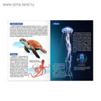 Мини-энциклопедии &laquo;Мир животных&raquo;, набор 6 шт. по 20 стр.
