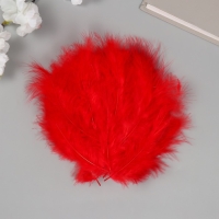 Перо декоративное гусиное пуховое "Алое" набор 40 шт h=10-15 см Перо декоративное гусиное пуховое "Алое" набор 40 шт h=10-15 см