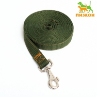 Поводок двухслойный с усиленным карабином, 3 м х 2,5 см, зелёный Поводок двухслойный с усиленным карабином, 3 м х 2,5 см, зелёный