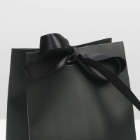 Пакет подарочный с лентой, упаковка, &laquo;Чёрный&raquo;, 13 х 19 х 9 см