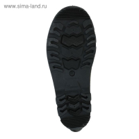 Сапоги мужские, цвет чёрный, размер 42