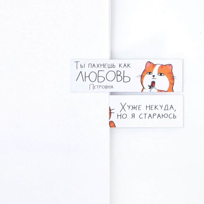 Набор стикеров закладок &laquo;Котик&raquo;, 9 шт, 30 л