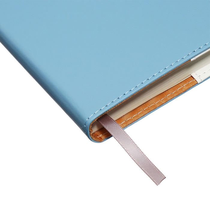 Органайзер на кольцах, А5, 128л, клетка, обл.кожзам, с хлястиком, Бизнес, голубой Органайзер на кольцах, А5, 128л, клетка, обл.кожзам, с хлястиком, Бизнес, голубой