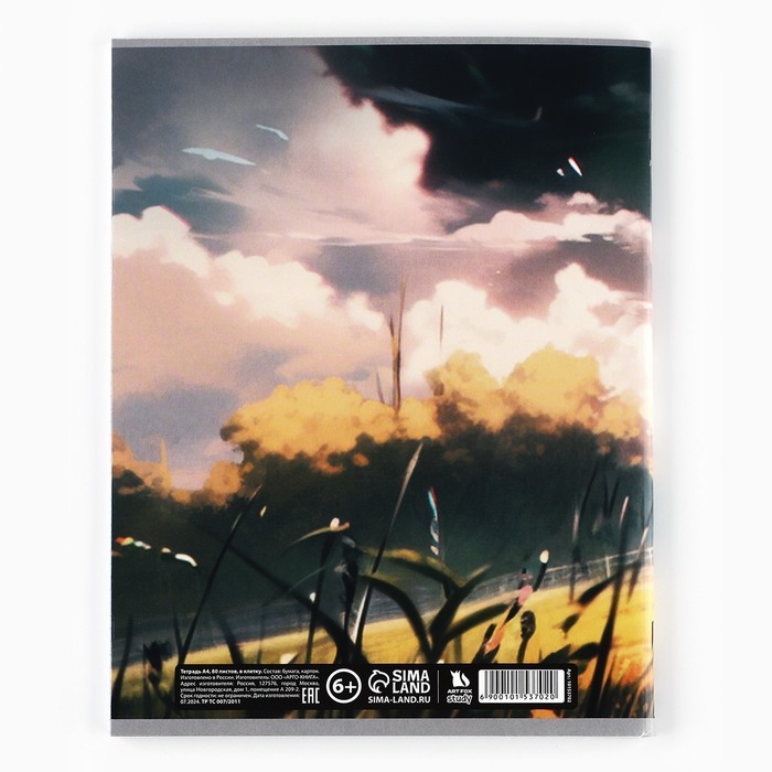 Тетрадь в клетку А4, 80 листов на скрепке &laquo;1 сентября:Аниме пара&raquo;