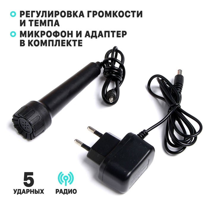 Синтезатор &laquo;Маленький музыкант&raquo;, с микрофоном, 49 клавиш, цвет чёрный