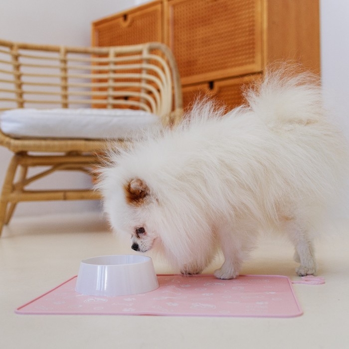 Коврик силиконовый под миску &laquo;Паттерн&raquo;, 30х40 см, розовый