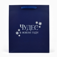 Пакет подарочный новогодний &laquo;Чудес в Новом году&raquo;, голография, ML 23 х 11.5 х 27 см, Новый год