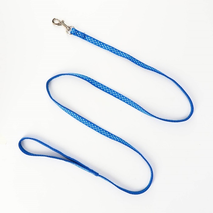 Комплект прошитый Комплект прошитый "Горошек", ширина 1 см, поводок 120 см, шлейка 23-35 см, синий