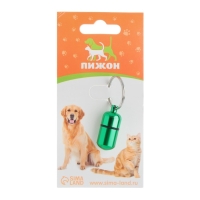 Адресник - капсула под записку, 2,2 х 1,3 см, зелёный