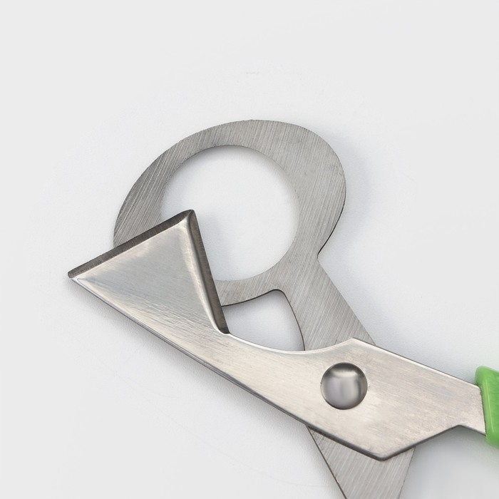 Ножницы для перепелиных яиц Доляна, 14&times;6 см, цвет зелёный