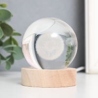 Сувенир стекло подсветка "Одуванчик" d=6 см подставка дерево, USB 6,5х6,5х7,5 см Сувенир стекло подсветка "Одуванчик" d=6 см подставка дерево, USB 6,5х6,5х7,5 см