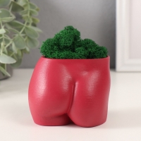 Кашпо бетонное "Невинный вид" высота 6,5см, ширина 8,5см винный со мхом (мох зелен. стабилиз 1041207 Кашпо бетонное "Невинный вид" высота 6,5см, ширина 8,5см винный со мхом (мох зелен. стабилиз 1041207