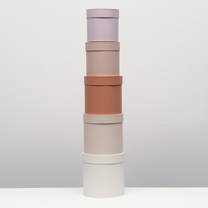 Набор круглых коробок 5 в 1 Набор круглых коробок 5 в 1 "Нюд", 20 х 20 х 20 - 14 х 14 х 14 см