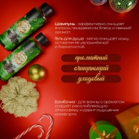 Новогодний подарочный набор косметики &laquo;Зимняя вьюга&raquo;, с ароматом хвои и корицы. Зеленая серия