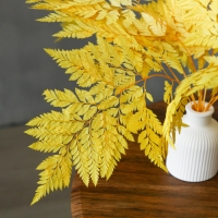 Сухоцвет &laquo;Папоротник&raquo;, жёлтый, 10 шт. в упаковке