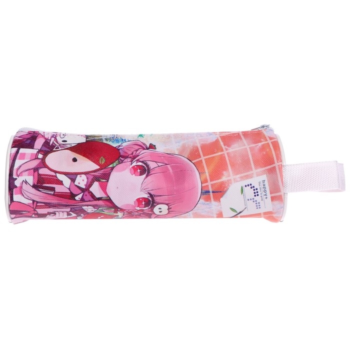 Пенал-тубус школьный на молнии Пенал-тубус школьный на молнии "Аниме", МИКС