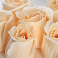 Подарочный набор &laquo;Самая нежная&raquo;: ежедневник А5 80 листов и мыльные лепестки