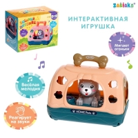 Интерактивная игрушка &laquo;Любимый питомец&raquo;, звук, свет, цвета МИКС