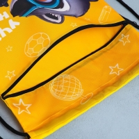 Мешок для обуви &laquo;Учусь на 5!&raquo; 2 секции, 30 х 40 см