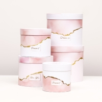 Набор шляпных коробок 5 в 1 "Нежность" розовый, 22 х 19,5 , 14 х 13 см Набор шляпных коробок 5 в 1 "Нежность" розовый, 22 х 19,5 , 14 х 13 см