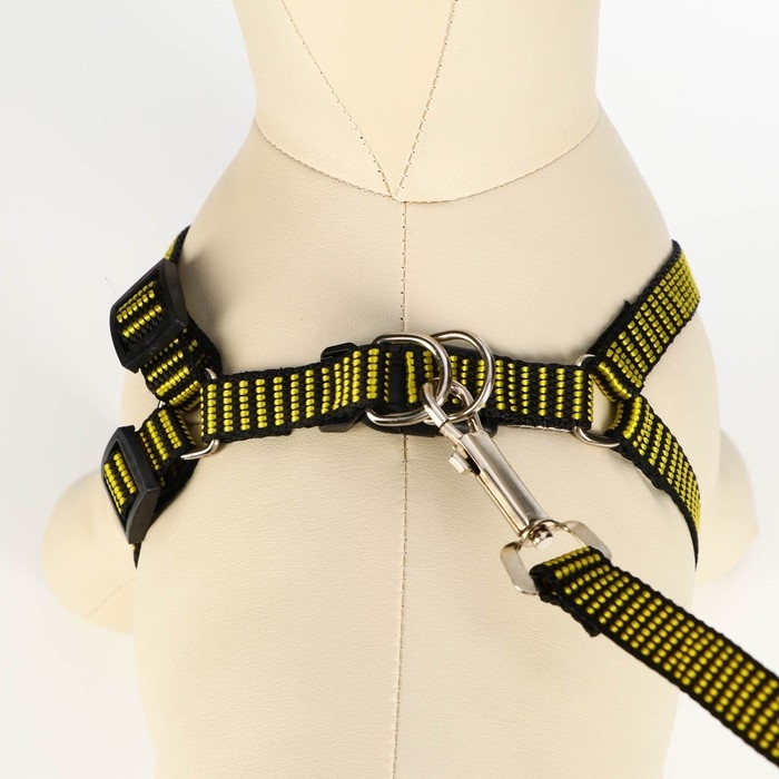 Комплект амуниции рельефный, 1,5 см, шлейка 36-49 см, поводок 120 см, жёлто-чёрный